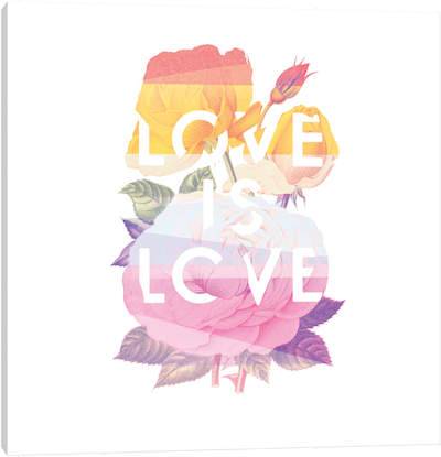 Love is Love canvas print by Heather Landis