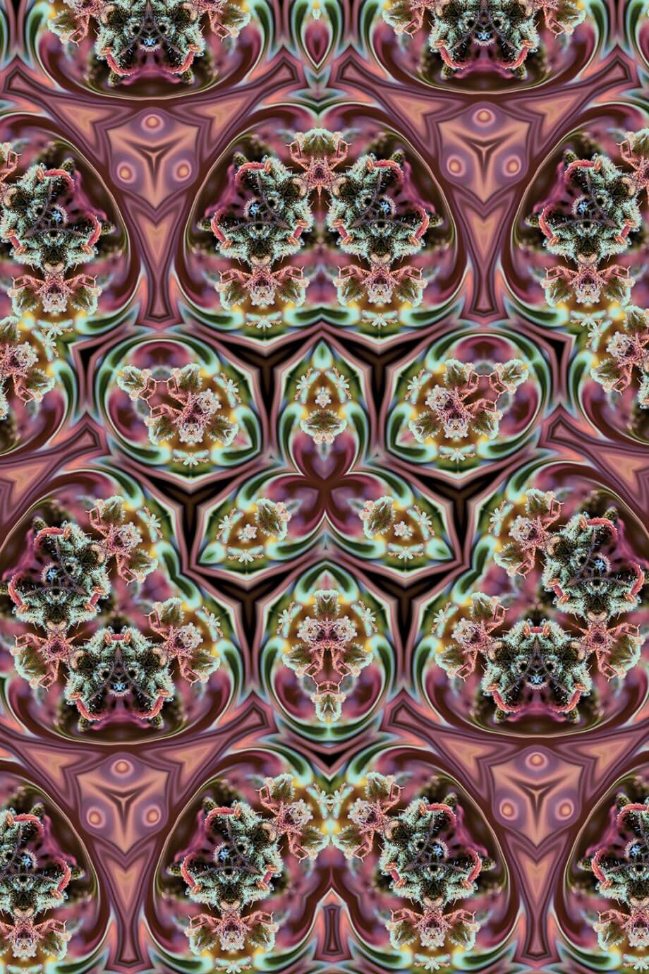 Naum Dorkhman art - cannabis kaleidoscope