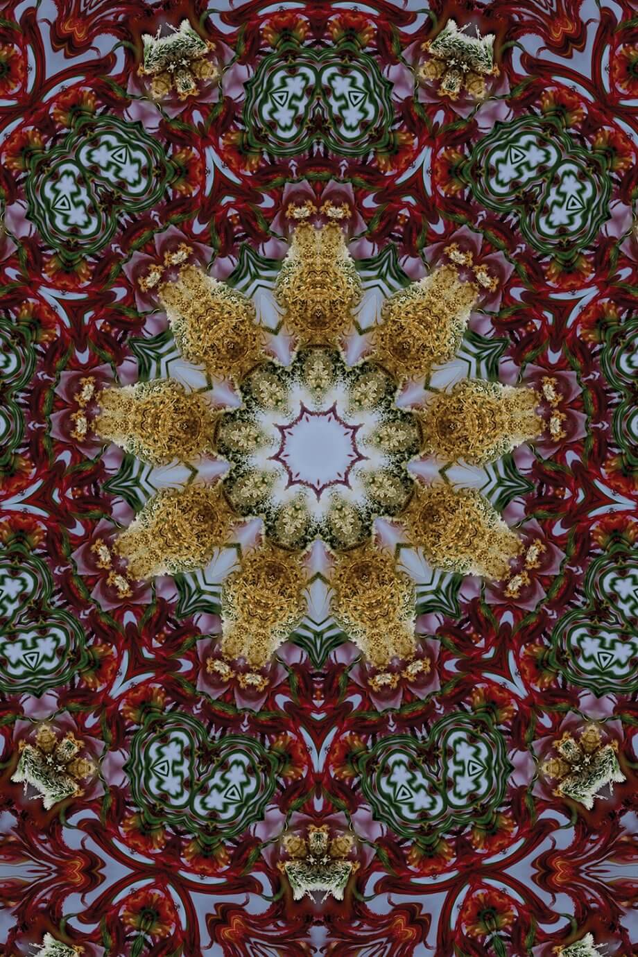 Naum Dorkhman art - cannabis kaleidoscope