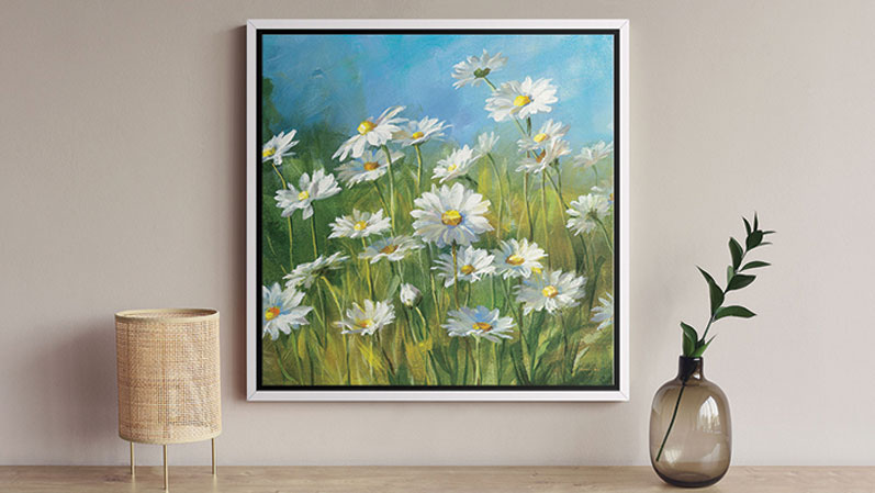 summer field of daisies artwork