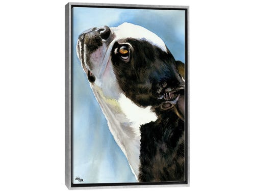 judith stein painting - boston terrier