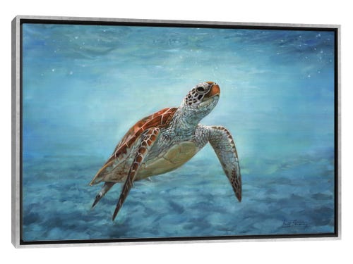 david stribbling painting - underwater sea turtle