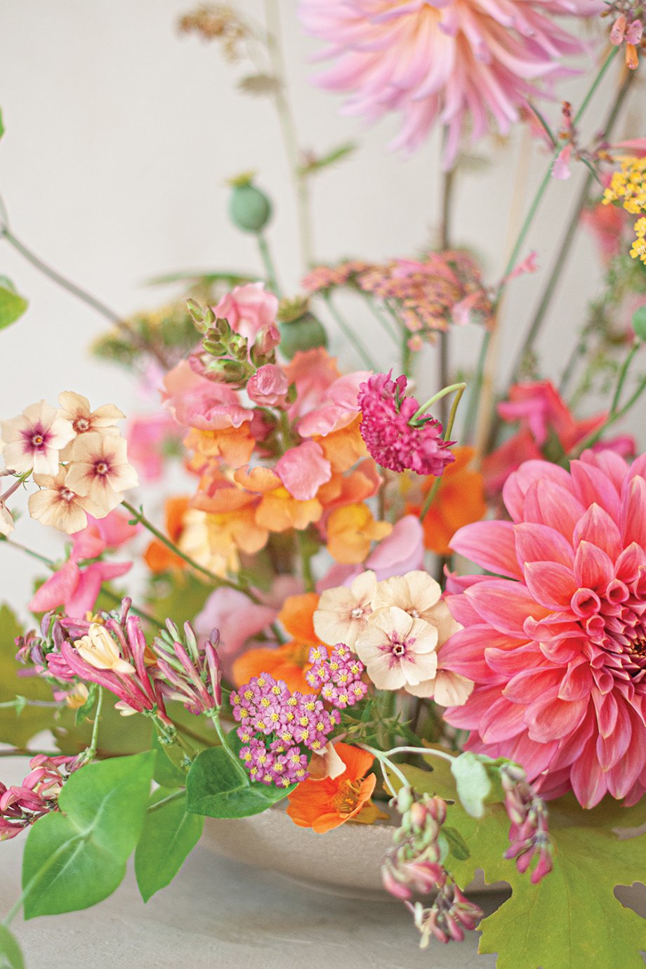 fruity colored blooms