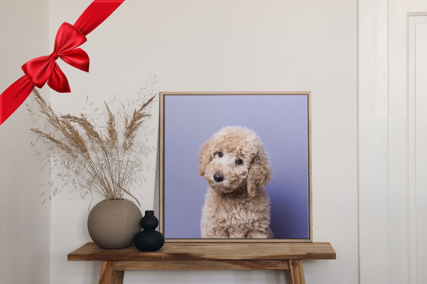 poodle portrait on table